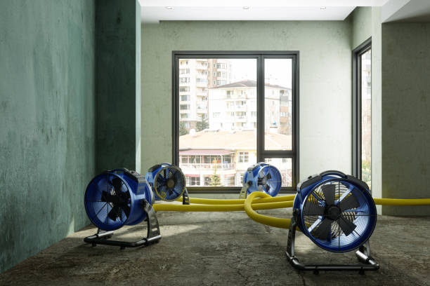 Best Emergency water damage restoration  in Reidsville, NC